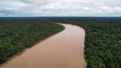 Photo of Noruega vai desbloquear R$ 2,5 bilhões do Fundo Amazônia após anúncio de vitória de Lula nas eleições