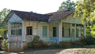 Photo of Fordlândia, no Pará, será cenário de série para o streaming