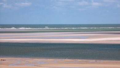 Photo of No litoral nordeste do Pará, final de ano deve transcorrer sem ou com poucas chuvas