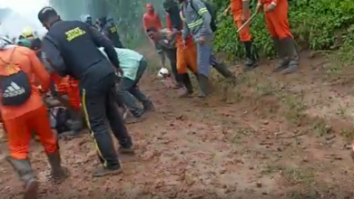 Photo of Grupo de indígenas Tembé invadem fazenda da BBF e ateiam fogo em funcionário