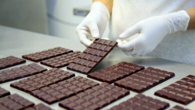 Photo of Chocolate paraense ganha medalha de bronze em concurso internacional