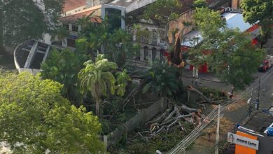 Photo of Belém abandonada: samaumeira centenária do CAN desaba