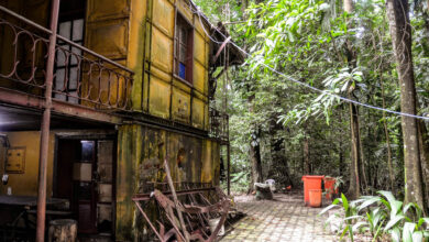 Photo of CHOCANTE: fotos mostram o abandono do Bosque Rodrigues Alves