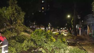 Photo of Belém é um exemplo que o discurso de defesa do meio ambiente do PSOL é só na teoria