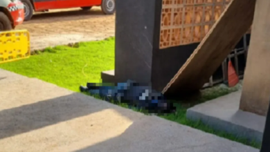 Photo of PM é morto durante assalto com reféns em Ulianópolis, PA