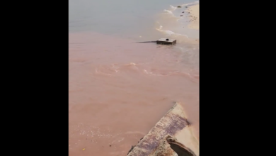 Photo of Vídeo mostra esgoto sendo jogado em praia de Outeiro após obra da Prefeitura de Belém