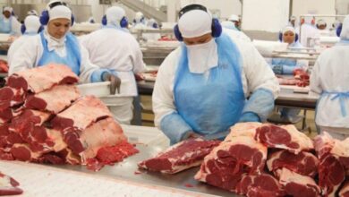 Photo of Exportações de carne bovina paraense caem 41% neste início do ano