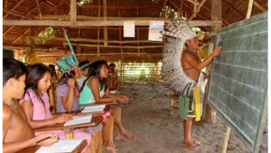 Photo of MPF quer que Estado do Pará seja obrigado a contratar professores indígenas
