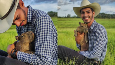 Photo of Ibama volta atrás e Filó vai ficar com Agenor