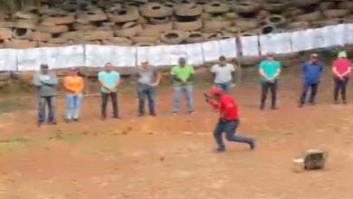 Photo of Instrutor da PM do Pará é afastado após usar alunos como “obstáculos” em treinamento de tiros