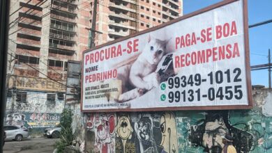 Photo of BELÉM: Gato Pedrinho segue desaparecido