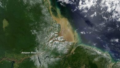 Photo of Brasil pode precisar importar petróleo em 2030 se abrir mão da exploração na foz do Amazonas