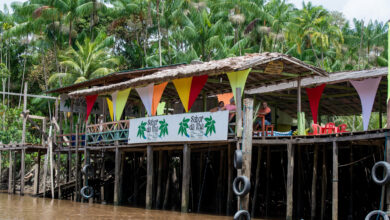 Photo of STF: Mais de 42 ilhas do Pará passam a ser Bens da União