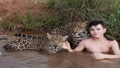 Photo of Comentaristas da Jovem Pan: só faltou dizer que em Belém a população vive em ocas e tem onça de estimação.