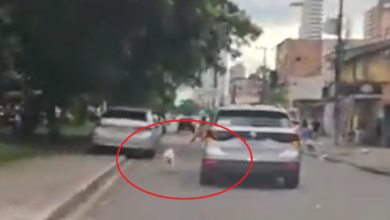 Photo of ABSURDO: vídeo mostra motorista levando cachorro na coleira com o carro em movimento