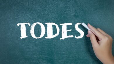 Photo of Governo do Estado cria campanha ‘Pará para Todes’