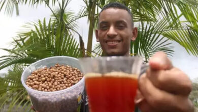 Photo of Empreendedorismo: Pará já tem 50 marcas que comercializam café de açaí