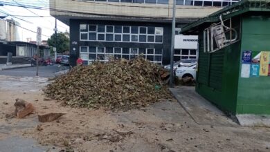 Photo of Quase uma semana após vendaval, Prefeitura de Belém retirou das ruas apenas 10 das 22 árvores que caíram