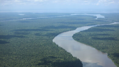 Photo of Cúpula da Amazônia em Belém focará no combate ao “narco-desmatamento”