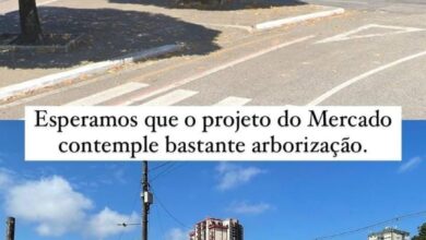 Photo of CHOCANTE: Prefeitura arranca mangueiras da Almirante Barroso, em São Brás