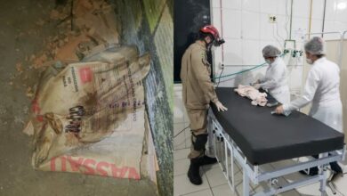 Photo of Recém-nascido é abandonado ainda com cordão umbilical em beco no Pará