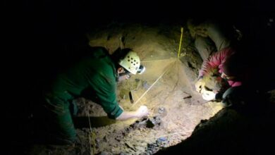 Photo of Pesquisadores do Pará descobrem fóssil de “Preguiça Gigante” no Oeste do estado
