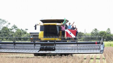 Photo of Produção agrícola do Pará em 2022 movimentou R$24,4 bilhões, com destaque para a soja
