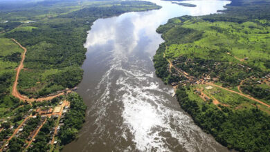 Photo of Ibama assume responsabilidade pelo licenciamento da mineradora Belo Sun na região do Xingu, no Pará