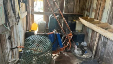 Photo of PF resgata 200 trabalhadores em situação análoga à escravidão no Pará