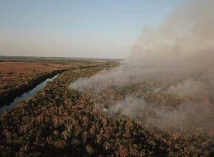 Photo of Defensoria Pública do Amazonas solicita intervenção federal devido às queimadas