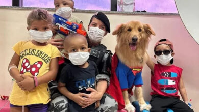 Photo of Cachorro da PM visita crianças em tratamento contra câncer no Pará