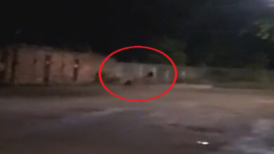 Photo of Vídeo mostra supostas visagens de crianças brincando próximo do cemitério do Tapanã, em Belém