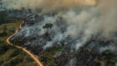 Photo of Pará registra o pior índice de queimadas do Brasil e um outubro, Alerta o Inpe