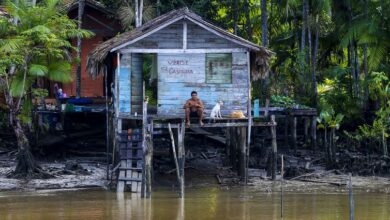 Photo of Pará é o estado que receberá mais recursos do Fundo Constitucional de Financiamento do Norte (FNO)em 2024
