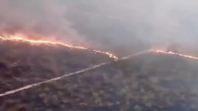 Photo of ‘Silêncio ensurdecedor’ sobre fumaça na Amazônia continua, apesar de alerta do DJ Alok e Joelma