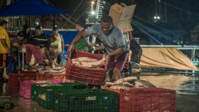 Photo of Colunista critica comercialização de peixe na Pedra do Ver-o-Peso: “Medieval”