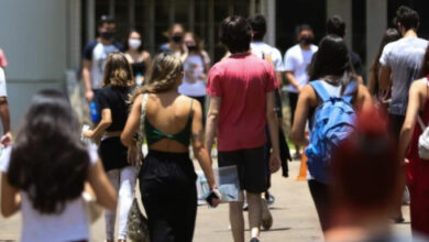 Photo of Pará lidera percentual de população parda no Brasil (69,9%)