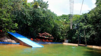 Photo of Confronto entre PM e facção criminosa no Parque dos Igarapés deixa dois mortos