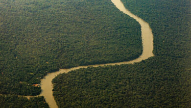 Photo of Amazônia recebe apenas 10% dos recursos em pesquisa no Brasil