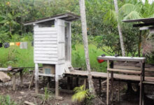 Photo of Pará tem 566 mil pessoas que usam buracos em terrenos para dejeção