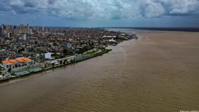 Photo of Pesquisadora critica obras para a COP30