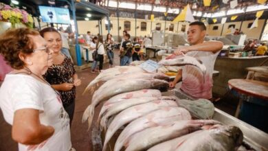 Photo of Consumo de pescado no Pará é quase quatro vezes maior que a média brasileira