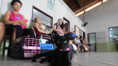Photo of Castramóvel realiza semana de atendimento para os Pets no Maguari