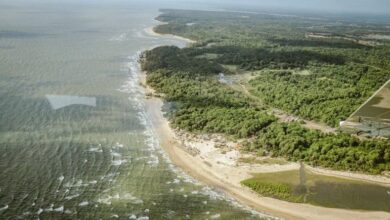 Photo of Governo do Pará estabelece política de gestão para zona costeira do estado