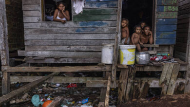 Photo of Fome invade casas de ribeirinhos no Marajó e crianças ficam sem merenda após jornadas até escolas