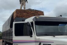 Photo of PRF intercepta carga ilegal de 84 m³ de madeira em São Domingos do Araguaia/PA