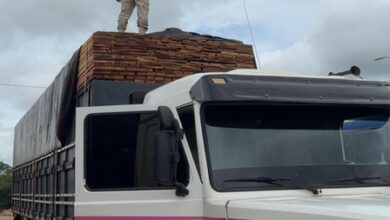 Photo of PRF intercepta carga ilegal de 84 m³ de madeira em São Domingos do Araguaia/PA