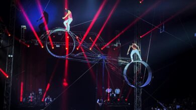 Photo of Campeão mundial, Diego Hypolito apresenta Circo Kroner em Belém