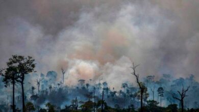 Photo of Queimadas na Amazônia aumentam 154% no segundo ano do governo Lula