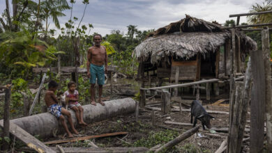 Photo of Índice de Desenvolvimento Humano do Pará recua e fica entre os 5 piores do Brasil